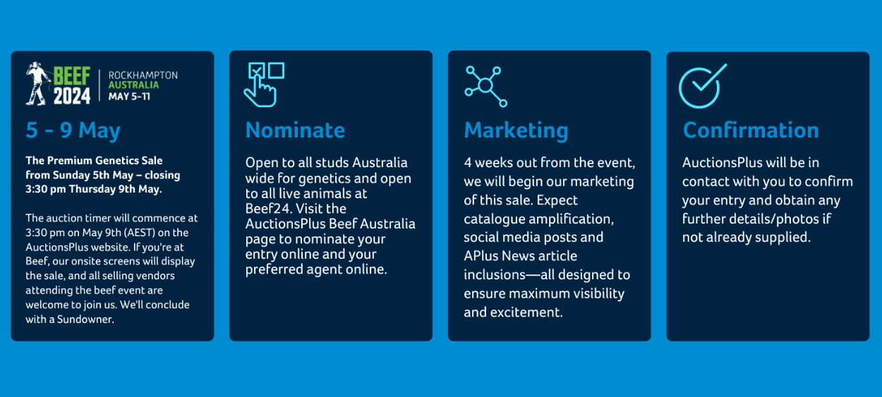 Beef Australia 2024 - Best Ocean Patterns in 8K